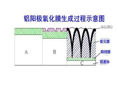 草莓污视频网站硬質陽極氧化膜生成過程